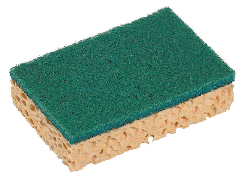 EPONGE ABRASIVE RECTANGULAIRE SPONTEX 74 (1 EPONGE)